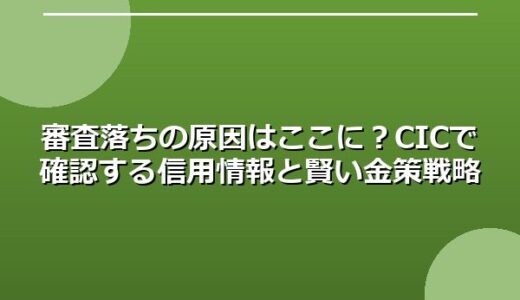 審査落ちの原因はここに？CICで確認する信用情報と賢い金策戦略